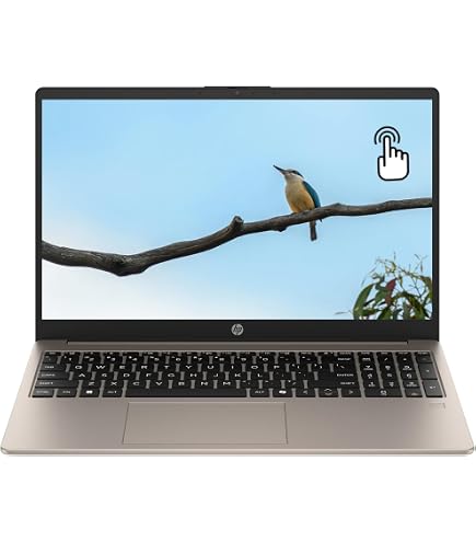 Amazon.com: HP 15.6