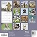2018 Animal Memes Wall Calendar (Mead)