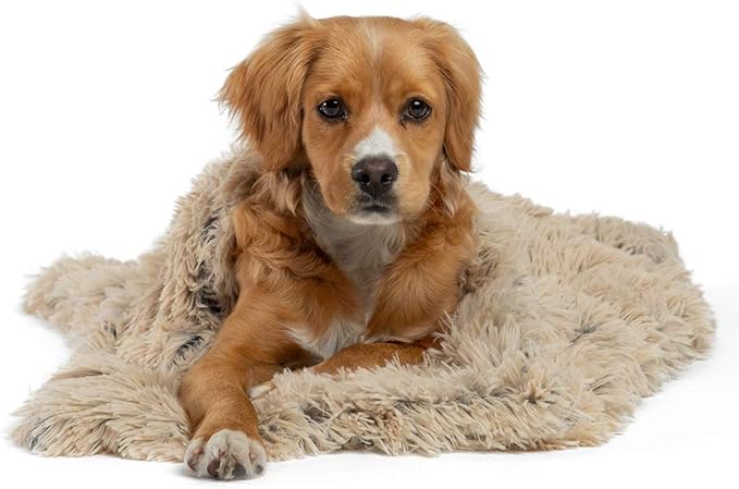 amazon puppy blanket