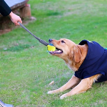 best chew toys for puppies