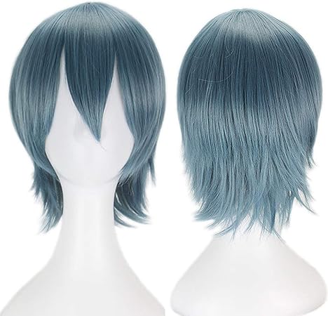 Amazon Co Jp アニメウィッグの合成かつら男性ショート ストレート髪ふわふわレイヤードパーティーウィッグロールプレイング テーマパーティー パーティー クリスマス ハロウィン コンサート 写真 Color A ビューティー