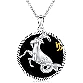 Twoowl 12 Constellation Necklace 925 Sterling Silver Zodiac Sign Coin Pendant Necklaces Black Onyx Astrology Horoscope Jewelry Birthday Gifts for Women Men