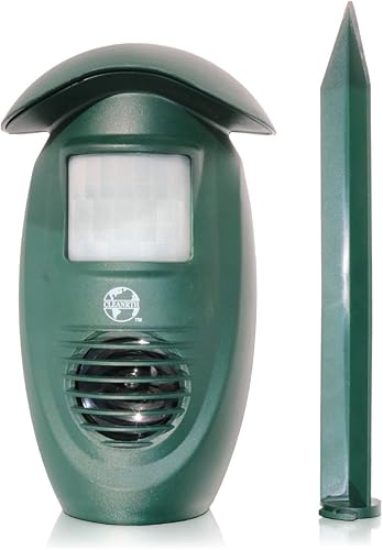 hstcstbl-table__image