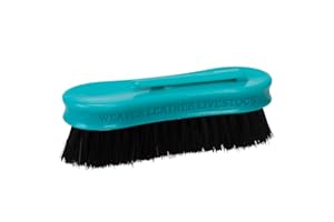 Small Pig Face Brush