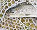 YZD Realistic Fly Fishing Flies Set Dry Fly Mosquitos Set of 21 Flies Handmade Rainbow Trout Fishing Lure kit Flyfishing…