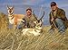 Montana Decoy Antelope Buck, Brown