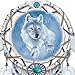 The Bradford Exchange Dreamcatcher Wall Decor: Dream Guardians