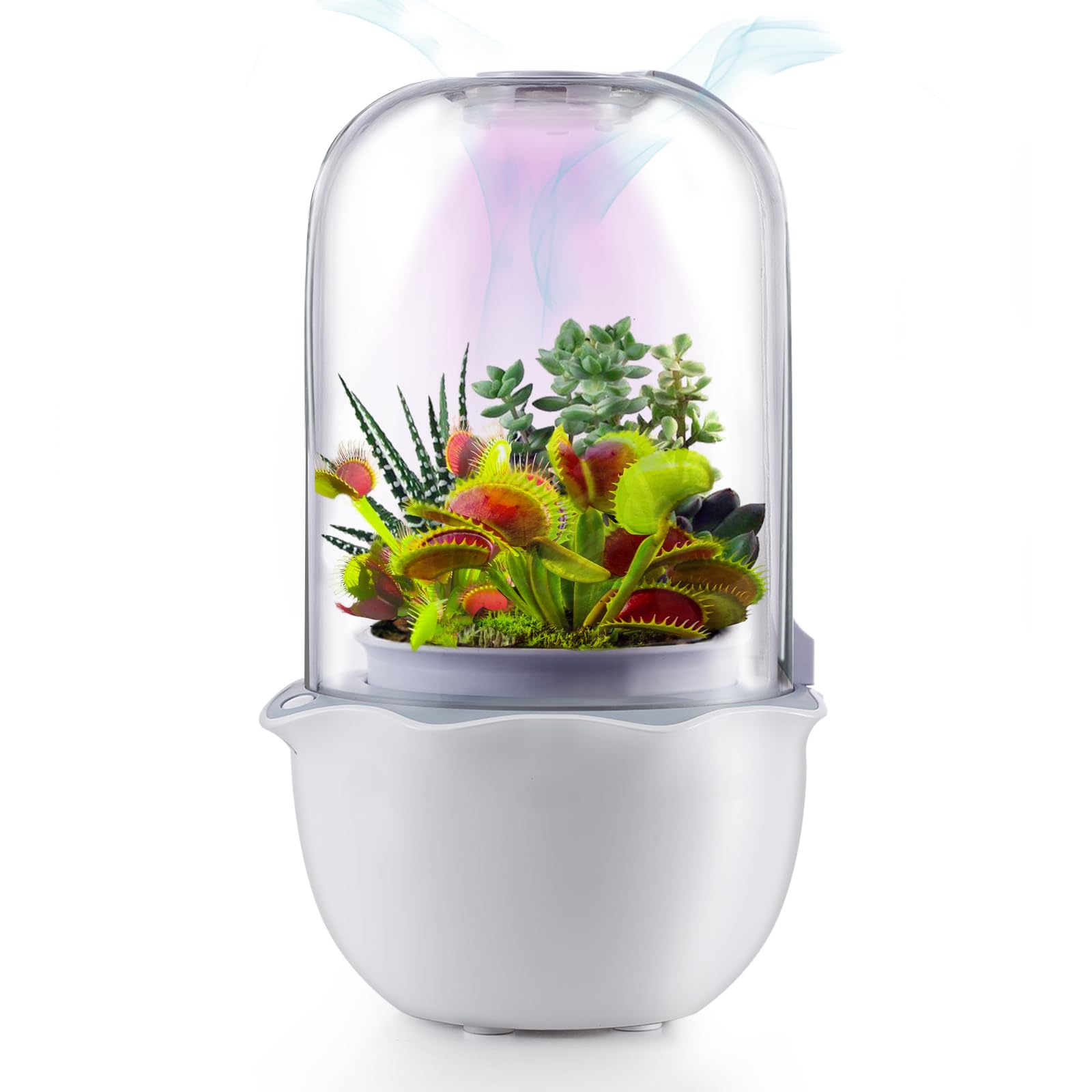 Photo 1 of Smart Venus Fly Trap Terrarium Pot with Timer&Fan,African Violet Planter Pot with Grow Light,Plant Terrarium Kit for Carnivorous Plants, Christmas Birthday Gifts for Women Garden Lover (No Plant)