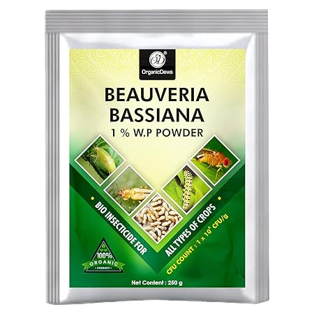 OrganicDews Beauveria Bassiana (1x10^8 CFU/g) Bio Insecticide (250 g) for Plants - Against Aphids, Thrips and Whiteflies