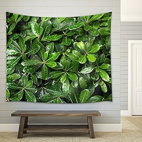 Green Leaf Background with Water Droplets After rain - Fabric Wall Tapestry Home Decor - 51x60 inches