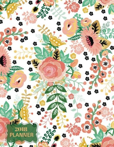 2018 planner: ultimate daily weekly, monthly schedule d…