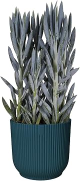 elho Vibes Fold Round 16 Indoor Plant Pot 100% Recycled Plastic Blue view 4