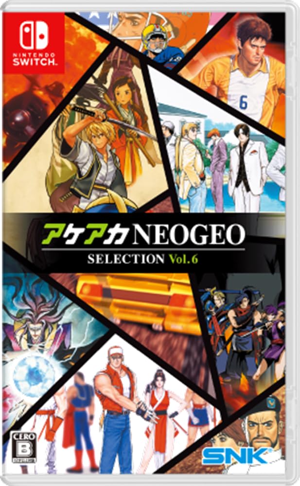 アケアカNEOGEO セレクション Vol.6