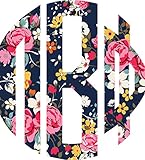 Pi Beta Phi 3