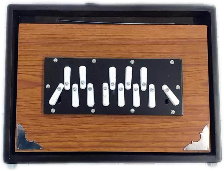 Best Shruti Box SURPETI Made of Teak Wood SRUTI Box with Free Bag