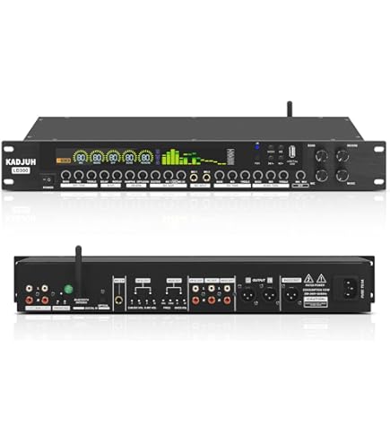 Amazon.com: Behringer Virtualizer Pro Dsp2024p High-Performance 24