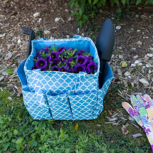 Small Garden Tote Bag, Utility Bags for Gardening, Car Totes, Organization, (Aqua Blue)