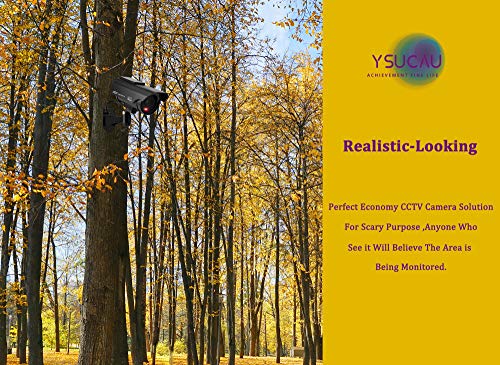 6 YSUCAU+Simulated+Surveillance+Security+Flashing