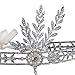 BABEYOND 1920s Flapper Headband Great Gatsby Inspired Art Deco Headpiece Vintage 20s Flapper Gatsby Accessories Silver Tone (Style 1)