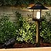 Westinghouse 8 Piece Grande Chaumont Low Voltage LED Landscape Lights, Black