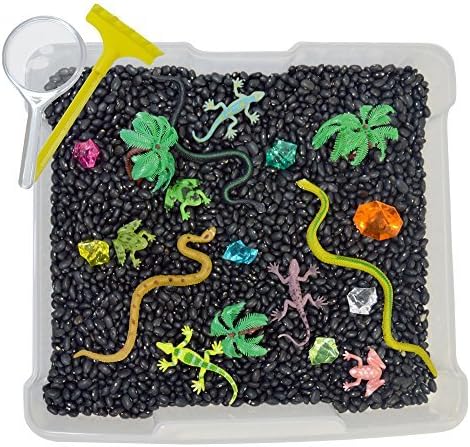 Discovery Box for Sensory Play - Rainforest Theme by Revelae