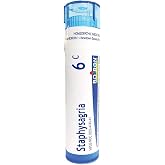 Boiron Staphysagria 6C Homeopathic Medicine for Surgical Wounds - 80 Pellets