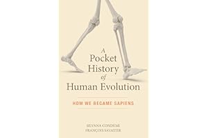 A Pocket History of Human Evolution: How We Became Sapiens