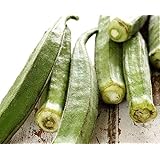 Amazon.com : Clemson Spineless Okra Seeds - Hibiscus ...