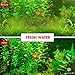 SunGrow Aquarium Algae Control - Kill algae in 5 days: Fast and effective: Safe for Fish & Shrimps: For Freshwater & Marine Use