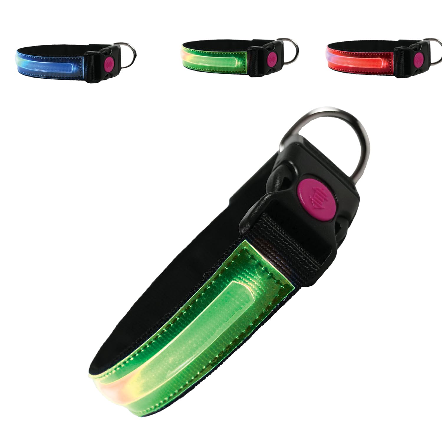 PETTY LED Dog Collar - Rechargeable USB Collar with Buckle Closure and Safety Button for Small, Medium, and Large Dogs (M Green)