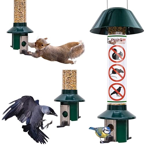 Gardman Mangeoire Large Heavy Duty Sunflower Hearts Feeder Heavy