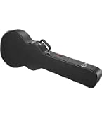 Amazon.com: Epiphone Case for Epiphone Dot, Sheraton, 335