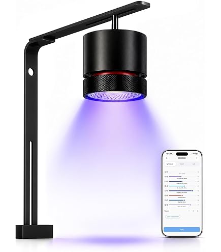 Amazon.com : Kessil A80 Tuna Sun LED Light : Pet Supplies
