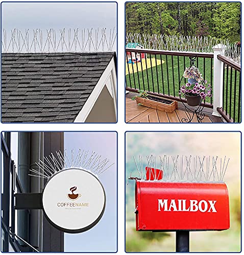 Bird Spikes for Pigeon Small Birds Cats 3M Stainless Steel Anti Bird Spikes Bird Spikes, Bird Repellent Deterrent, Garden Anti Climb Security Wall Fence, with Adhesive Glue