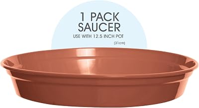 Whitefurze G04126 Garden Pot Saucer for 31cm Pot Terracotta