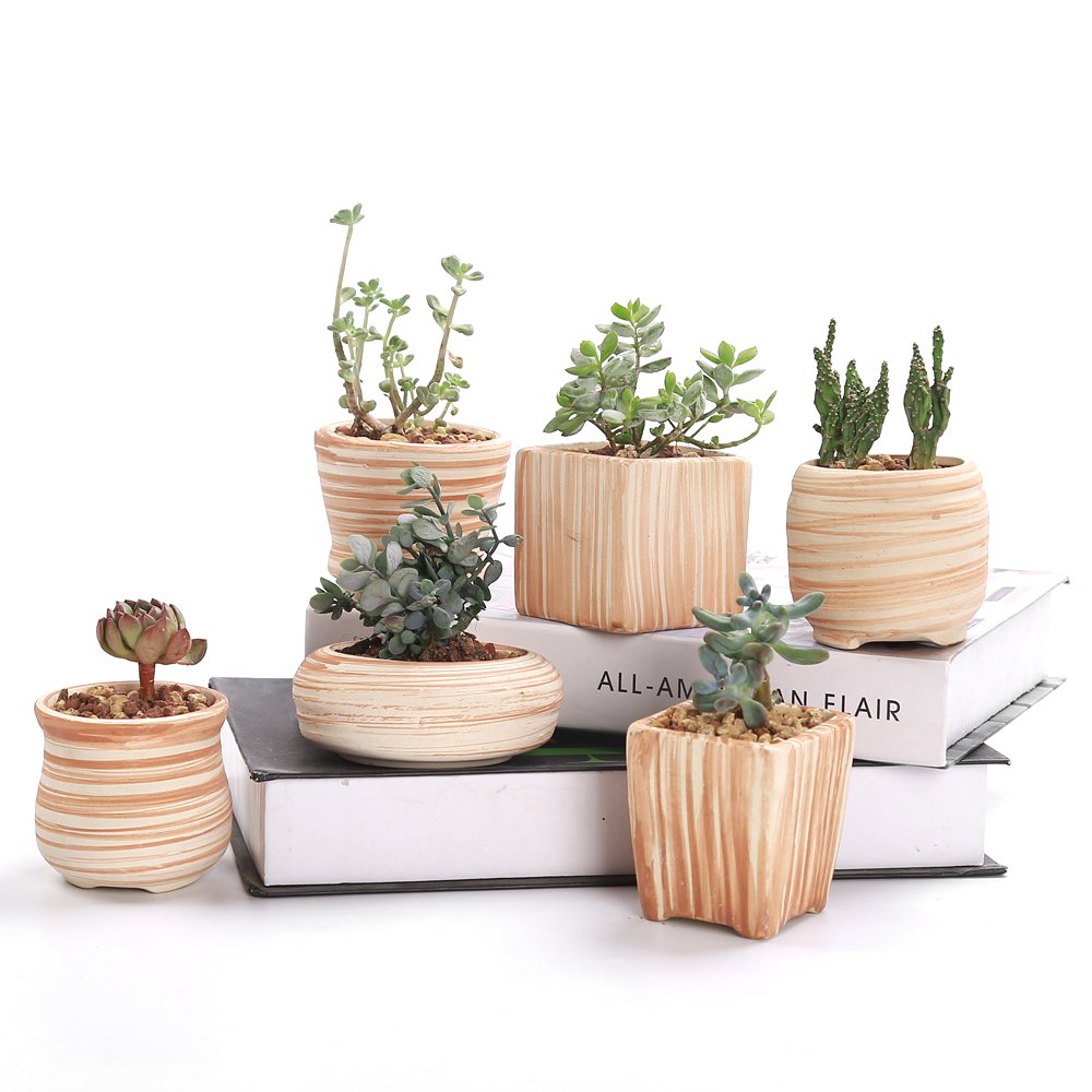 SUN-E 6 In Set 7.6 cm Ceramic Wooden Pattern Succulent Plant Pot Cactus Plant Pot Flower Pot Container Planter Gift Idea