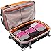 eBags Small Classic Packing Cubes for Travel - Organizers - 3pc Set - (Peony)