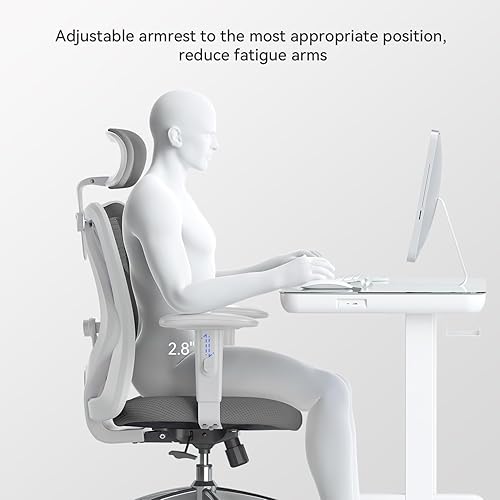 SIHOO M18 Ergonomic Office Chair, Computer Desk Chair with