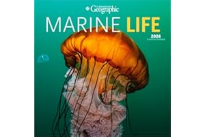 Canadian Geographic Marine Life OFFICIAL | 2026 12 x 24 Inch (Hanging) Monthly Square Wall Calendar | Wyman Publishing | Wild