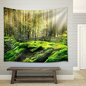 Forest - Fabric Wall Tapestry Home Decor - 51x60 inches