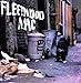 Peter Green'S Fleetwood Mac