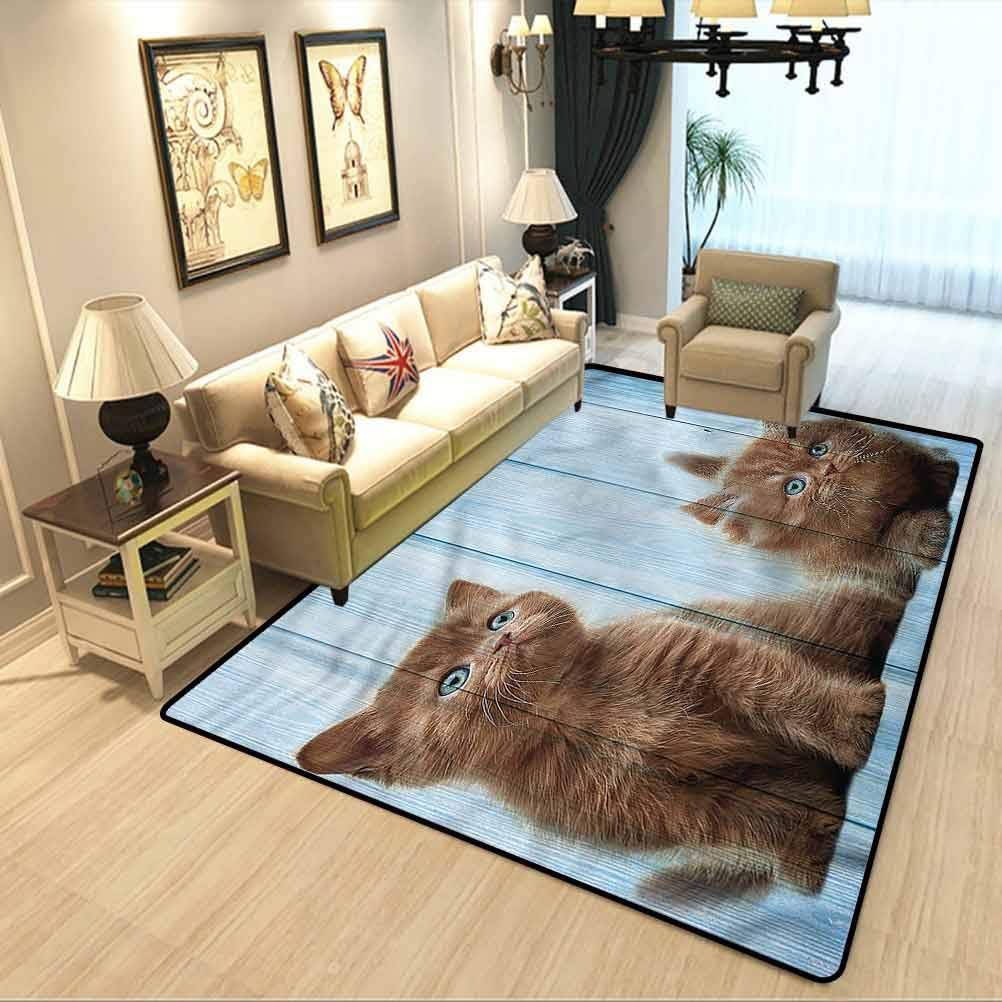 best carpet for baby room