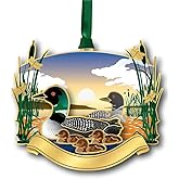 Beacon Design Loon Family Namedrop Ornament, 2.82-Inch, Multicolor