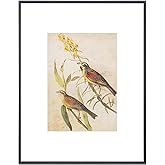 Fkvat 9x12 Picture Frame, Black Modern Thin Aluminum Metal Photo Frame with HD Glass, Fits 6x8 with Mat or 9 x 12 without Mat, for Tabletop and Wall Mounting, 1 Pack