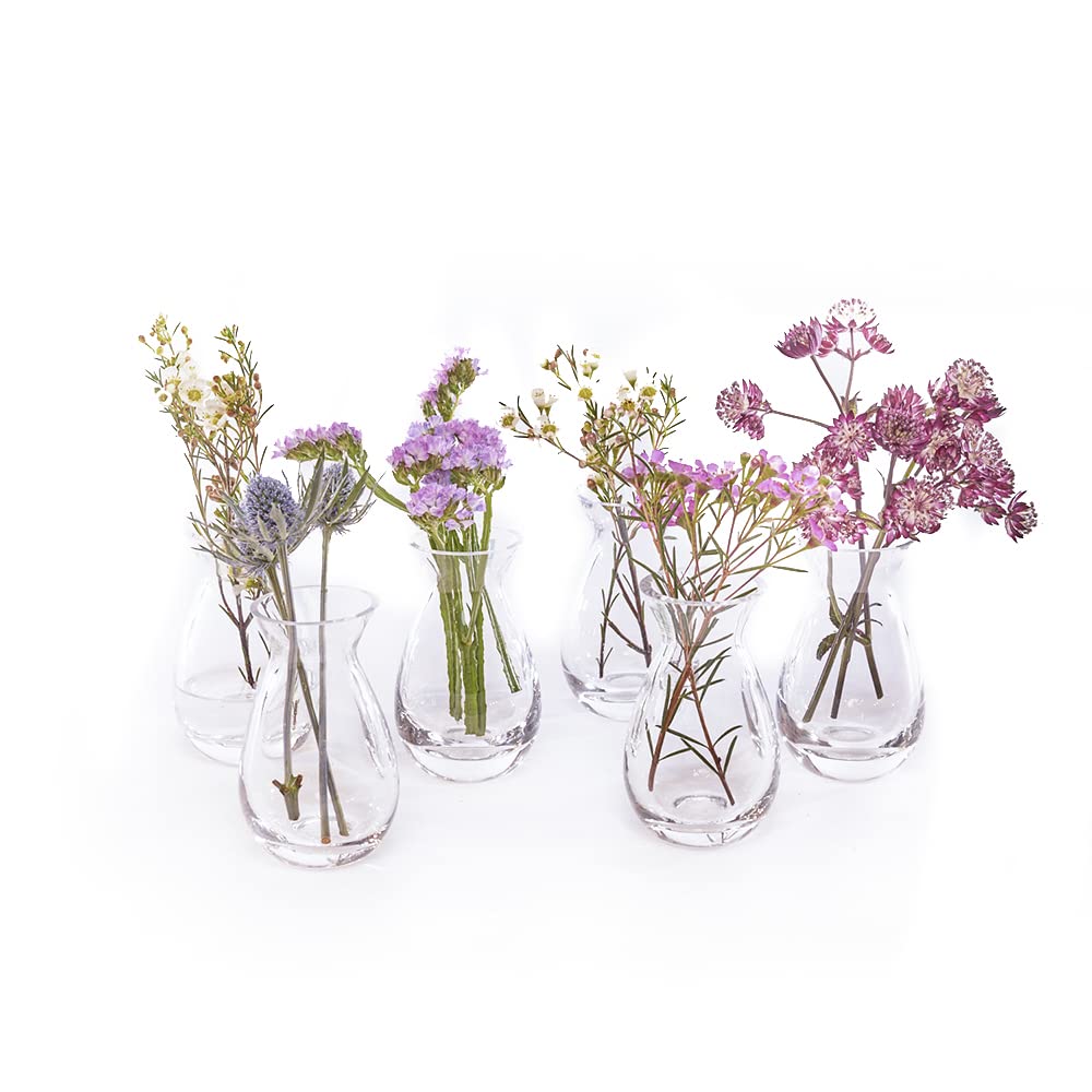 Chive ‘George’ Round Flower Vase — Cute, Beautiful Glass Vase for Flowers & House Plants — Style 2