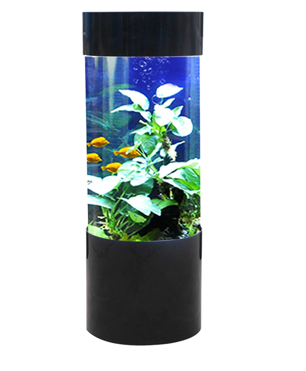 Column Cylinder Aquarium Fish Tank Frf 499 80 Litres Black column cylinder aquarium fish tank frf 499 80 litres black