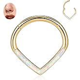 FUNLMO 16G Septum Ring Teardrop Septum Jewelry Daith Helix Tragus Rook Piercing Jewelry CZ Nose Rings Hoops Cartilage Earring 316L Surgical Steel