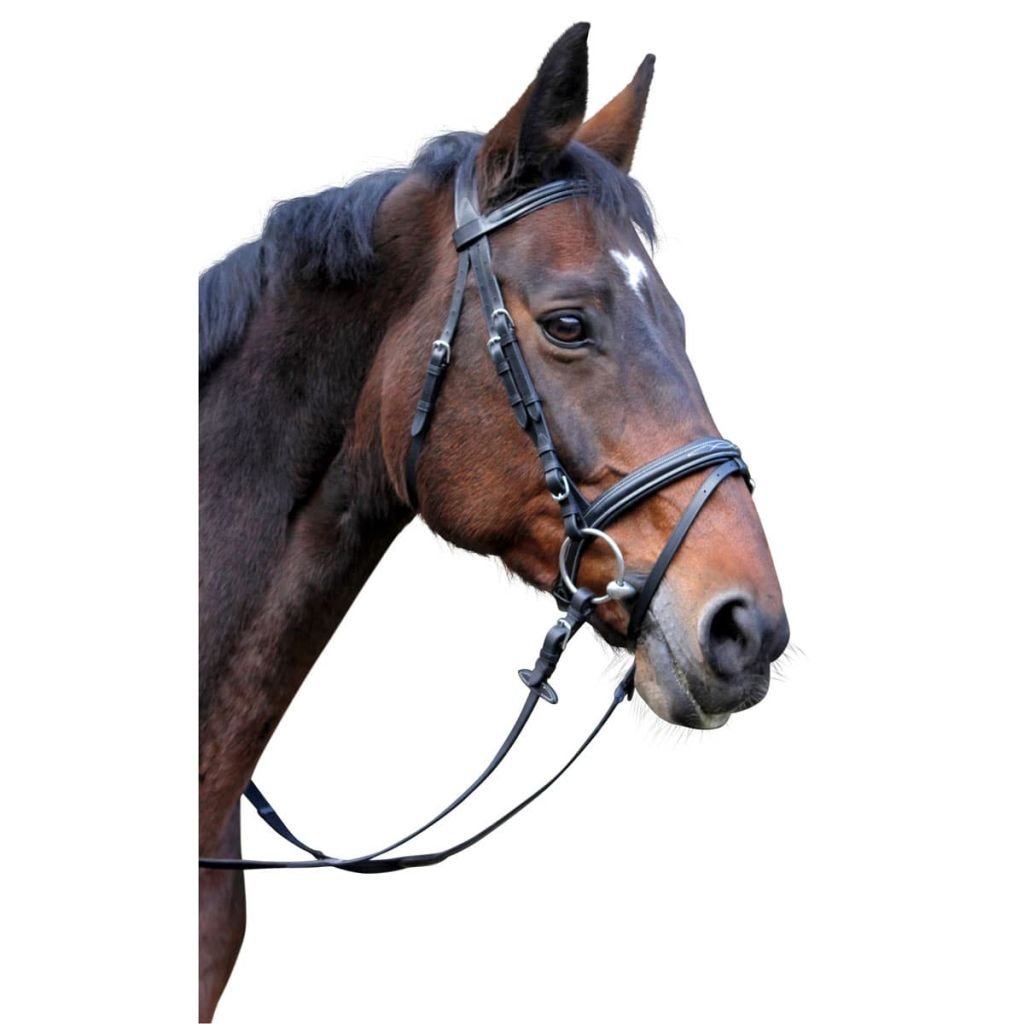 Covalliero Classic Leather Snaffle Bridle, Black, Pony