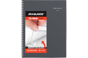 AT-A-GLANCE 2025 Appointment Book Planner, Weekly & Monthly, 8-1/2" x 11", Large, Quarter-Hourly, DayMinder, Gray (GC5200725)