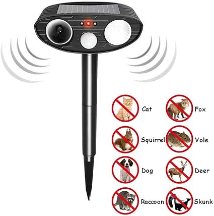 motion activated dog deterrent